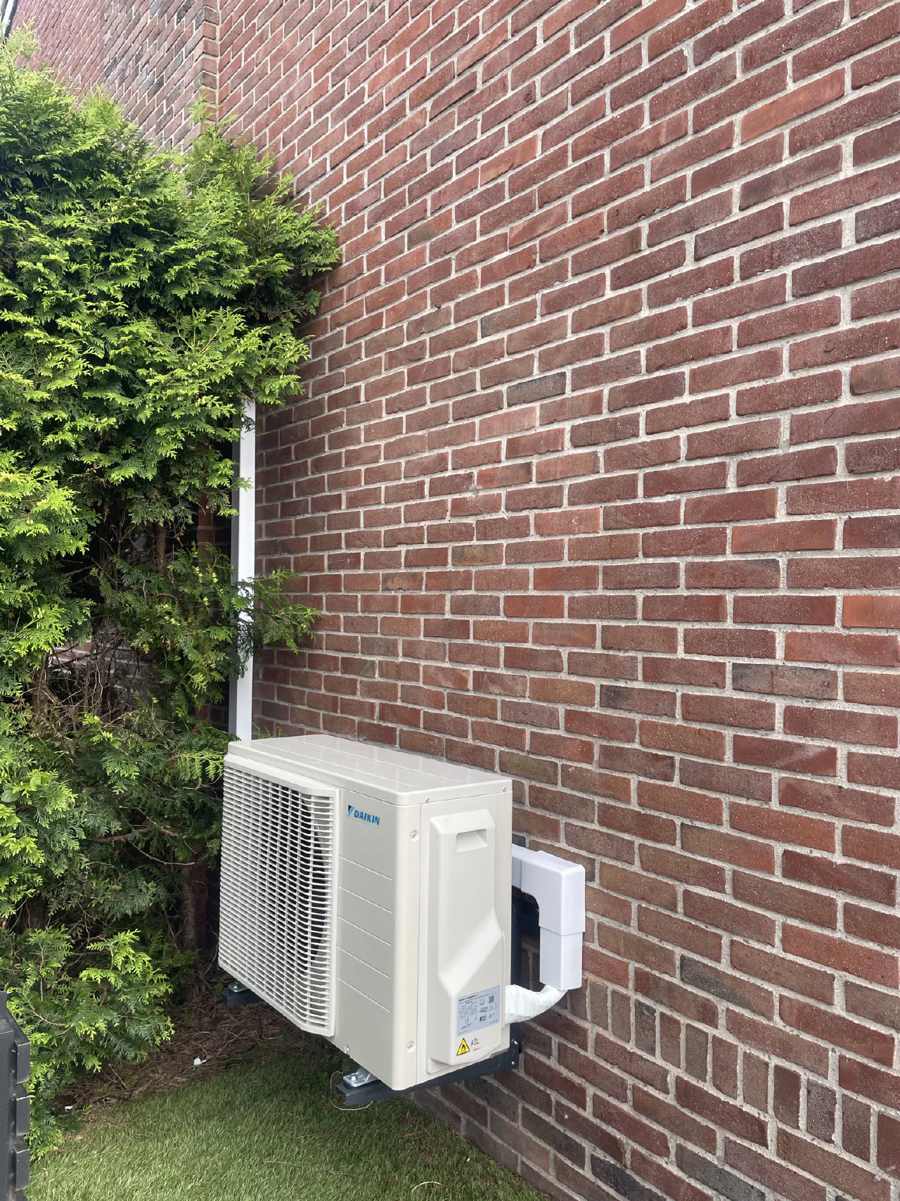 Daikin buitenunit op een lage muurbeugel tegen een rode bakstenen gevel naast een coniferenhaag, witte leidinggoot recht omhoog, gras eronder
